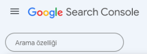 Google Search Console Arama Özelliği
