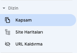 Google Search Console Kapsam