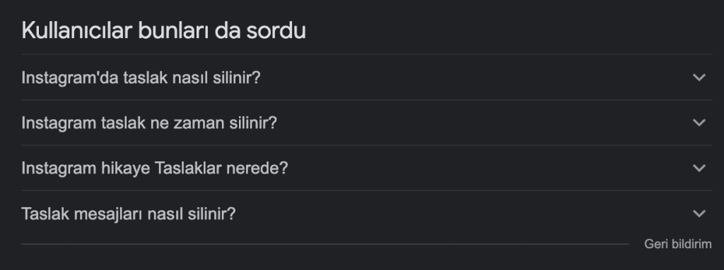 SERP Kullanıcılar Bunları da Sordu