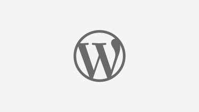 WordPress SEO Rehberi