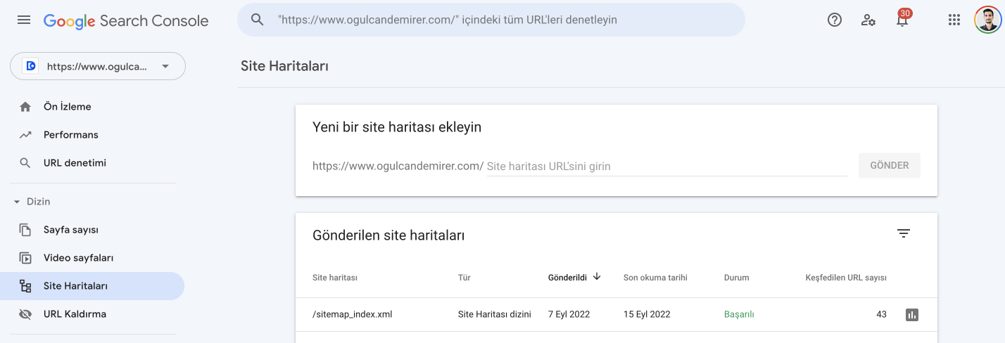Google Search Console Site Haritası