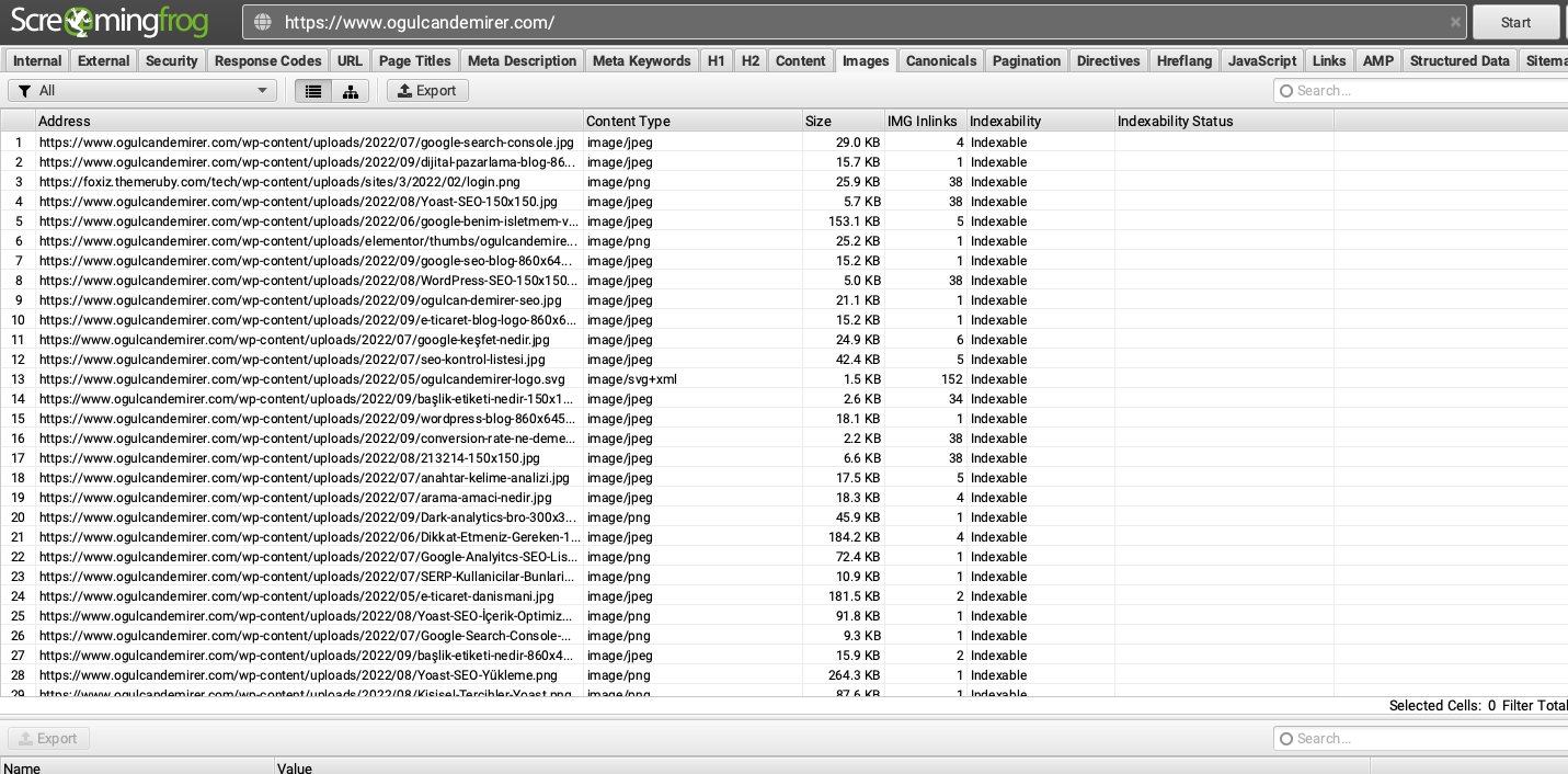 Screaming Frog Görsel SEO Denetimi
